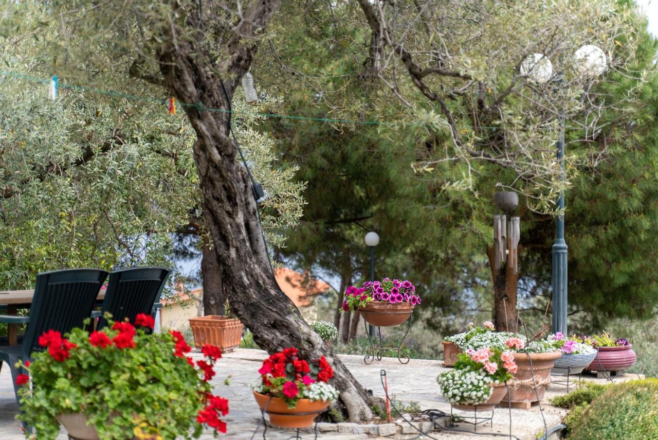 Villa Elia Kavala - Mediterranean Holiday Villa PalaiónTsiflíkion エクステリア 写真