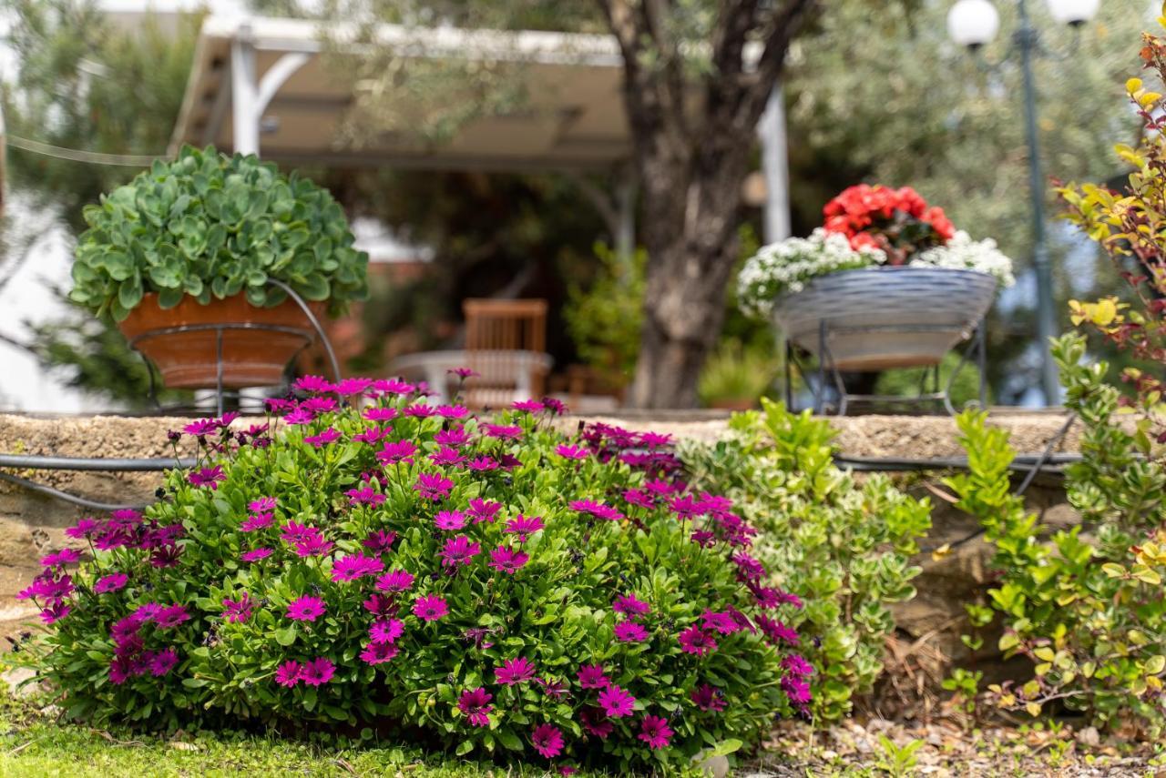 Villa Elia Kavala - Mediterranean Holiday Villa PalaiónTsiflíkion エクステリア 写真