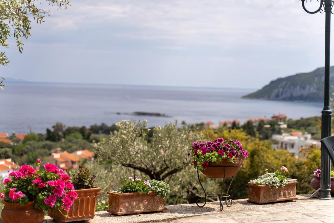 Villa Elia Kavala - Mediterranean Holiday Villa PalaiónTsiflíkion エクステリア 写真