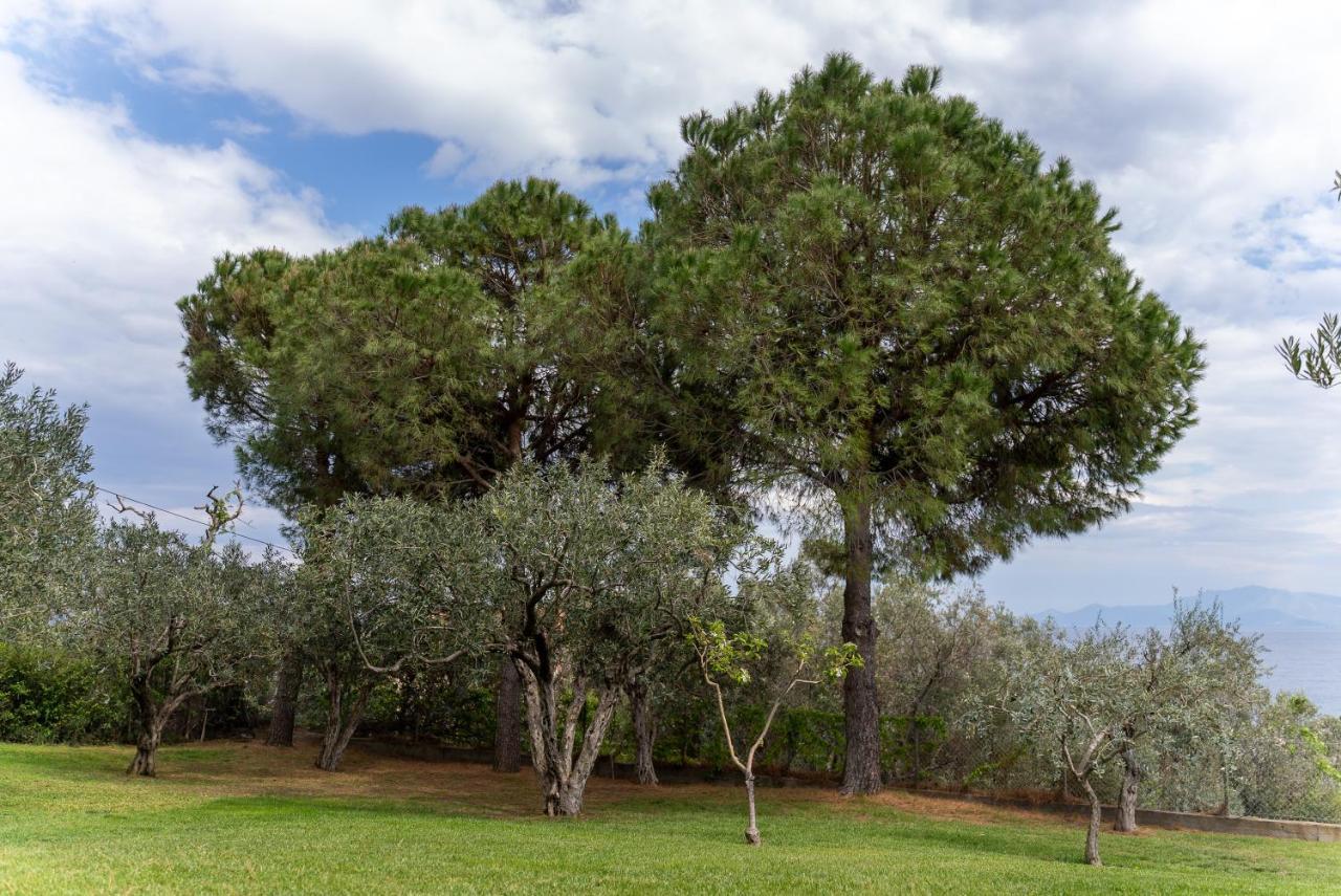 Villa Elia Kavala - Mediterranean Holiday Villa PalaiónTsiflíkion エクステリア 写真