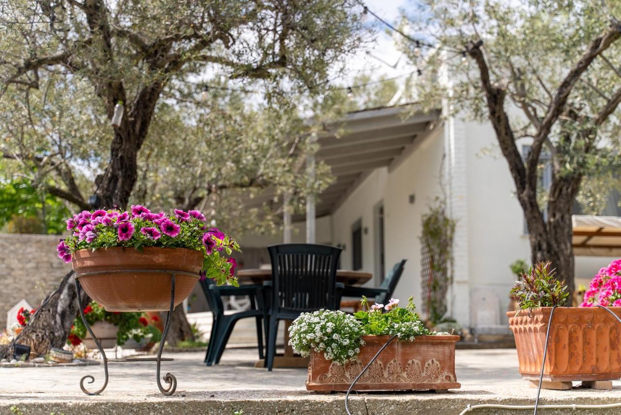 Villa Elia Kavala - Mediterranean Holiday Villa PalaiónTsiflíkion エクステリア 写真