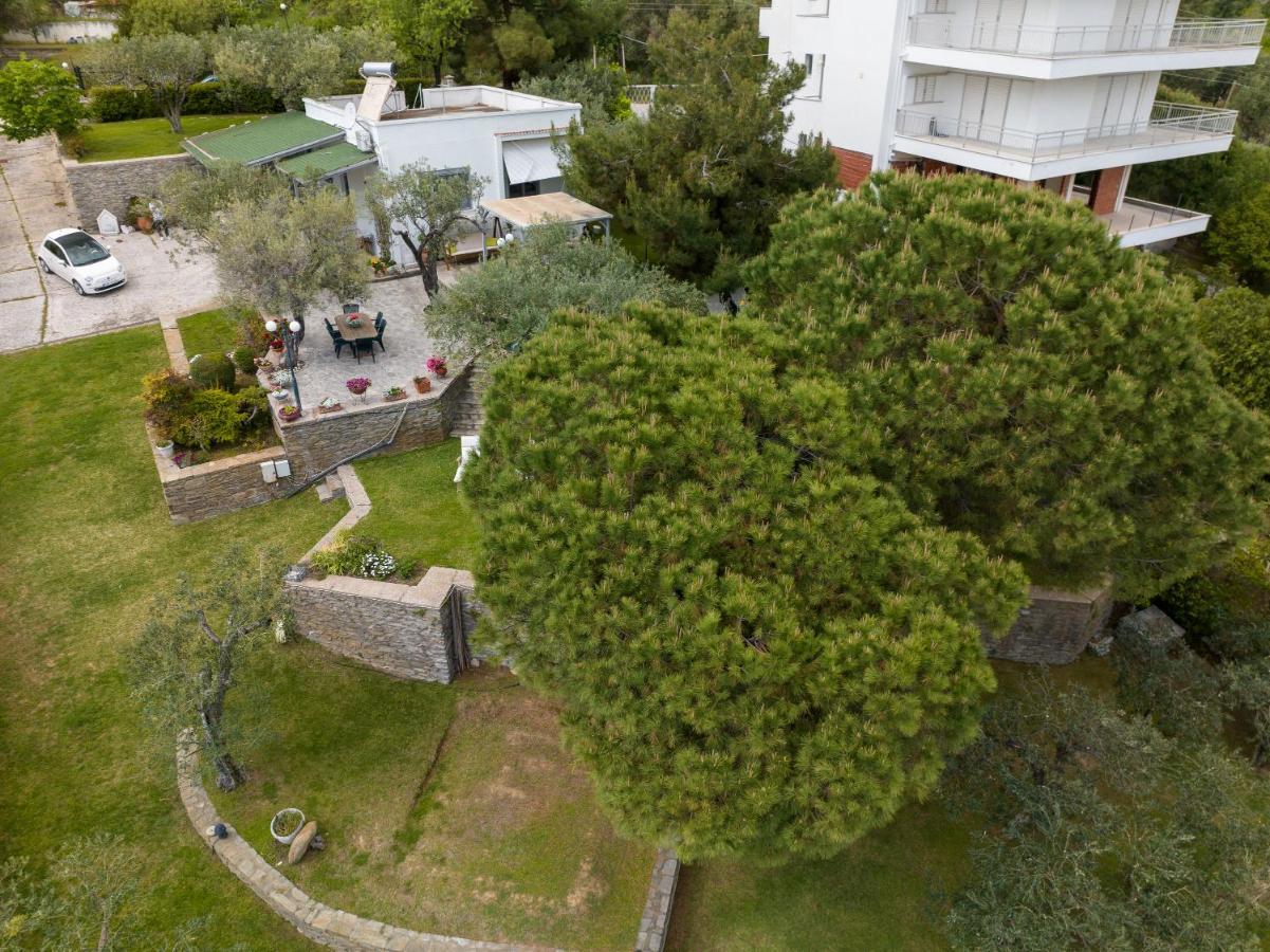 Villa Elia Kavala - Mediterranean Holiday Villa PalaiónTsiflíkion エクステリア 写真